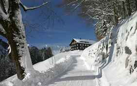 Wanderweg direkt hinter dem Rosenhof